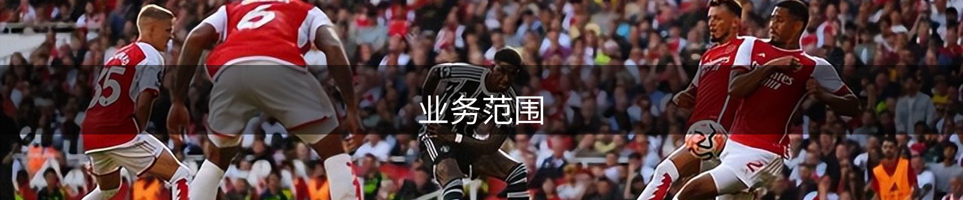 业务范围