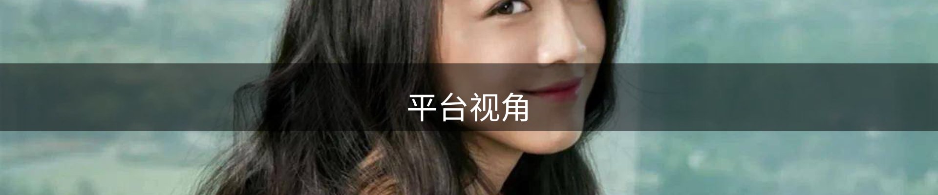 平台视角